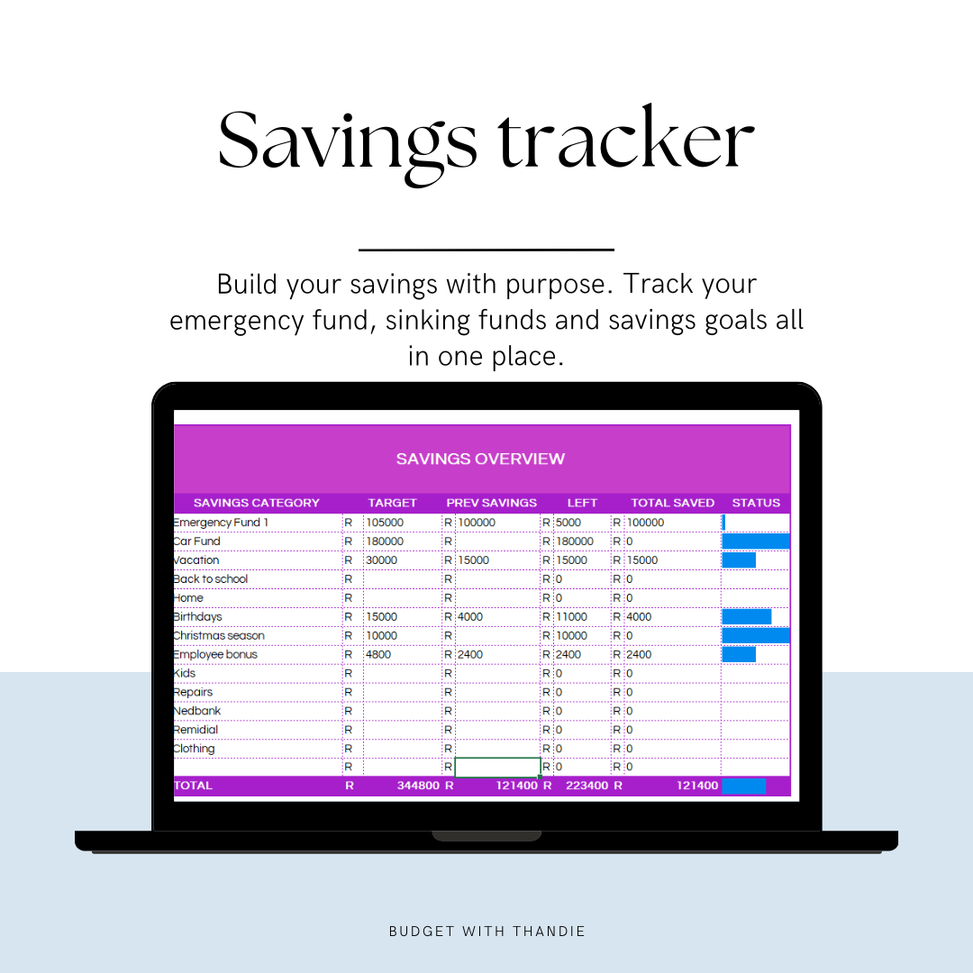 The Family Finance Planner (excel)